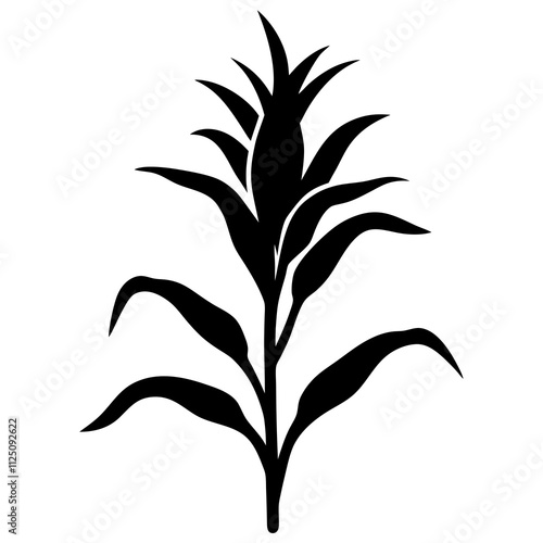 A simple corn plant with leaves silhouette & black & white corn plant tree vector art illustration. Corn cobs plant elements icon vector illustration