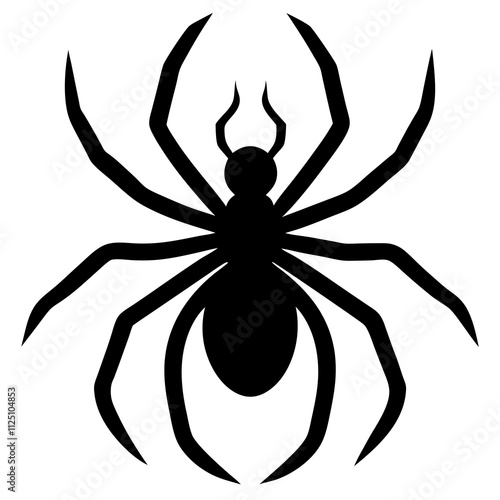 Black spider animal silhouette & Spider vector illustration. Spider elements icon vector