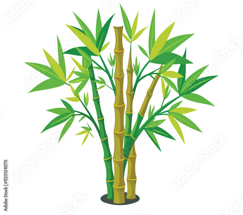 bamboo isolated on white background