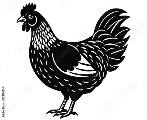 Rooster isolated on white