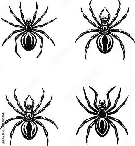 Spider Silhouette Vector Illustration