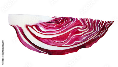 Watercolor Radicchio Slice Red White Fresh Vegetable Food Ingredient Painting Artwork Culinary