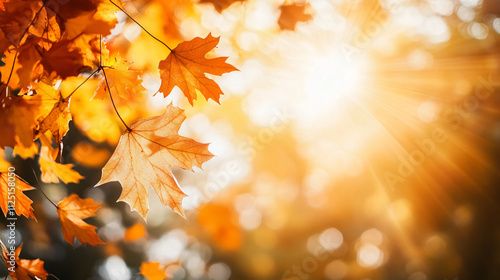 Golden sunlight streaming through misty forest with autumn leaves, peaceful and vibrant