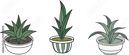 Houseplant in a pot set, isolated vector. 