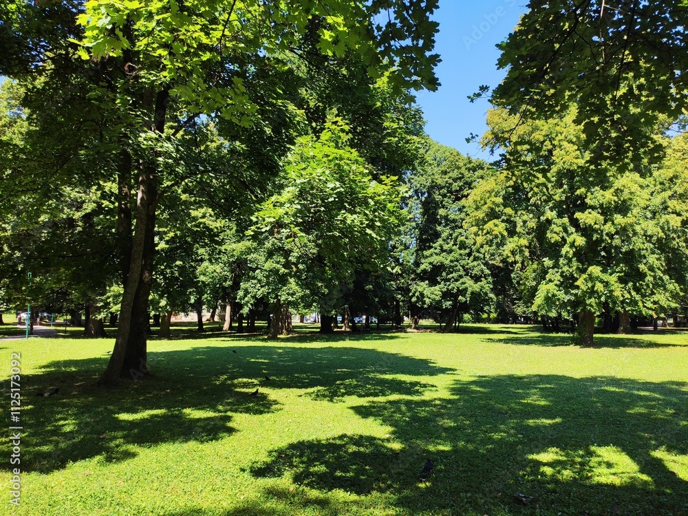 Obraz premium Nature photos. The eye of Ilidza and Ilidza, Sarajevo
