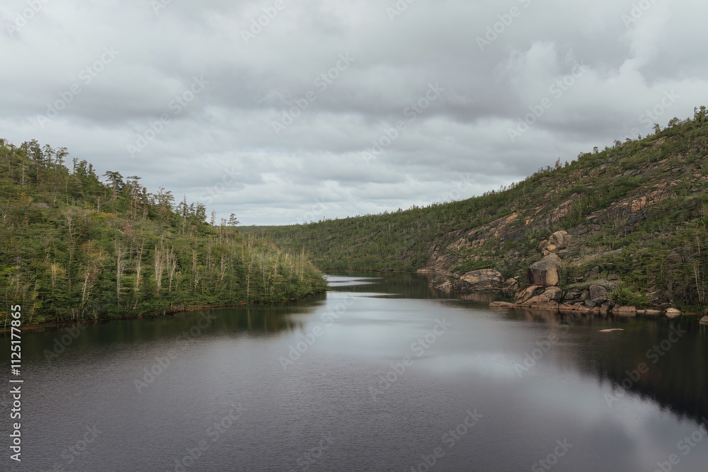 Serene Wilderness: A tranquil lake meanders through a lush, forested landscape, mirroring the soft, grey clouds above. The scene evokes a sense of peace and tranquility. Serene Wilderness: A tranquil lake meanders through a lush, forested landscape, mirroring the soft, grey clouds above. The scene evokes a sense of peace and tranquility.