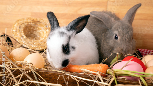 Two rabbits, one white with black spots and one gray, surrounded by eggs, carrots, hay, and straw hat, evoking festive Easter and rural farm