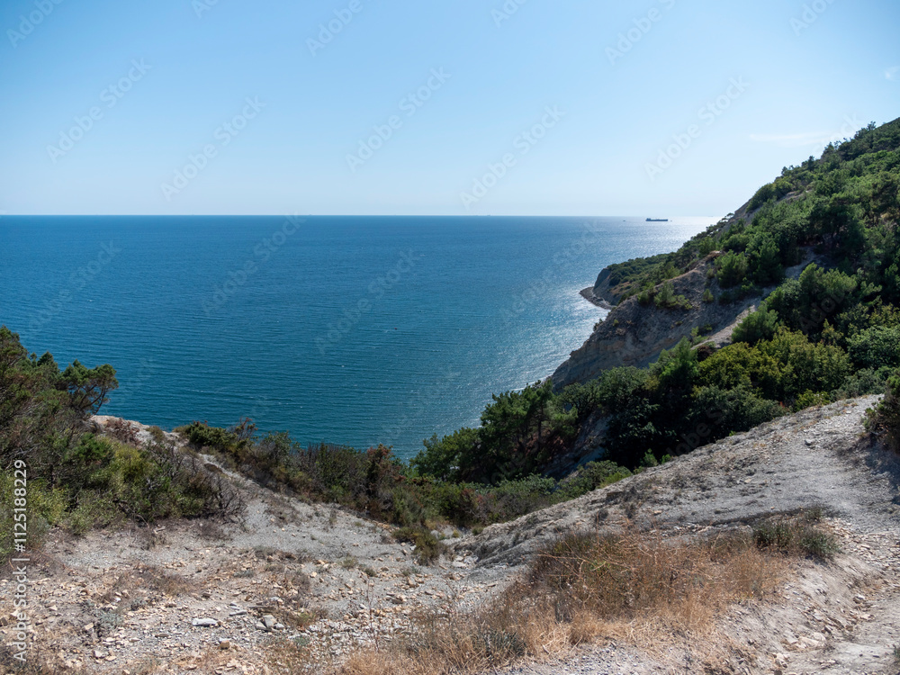 Fototapeta premium Olive tree branches with sea in the background