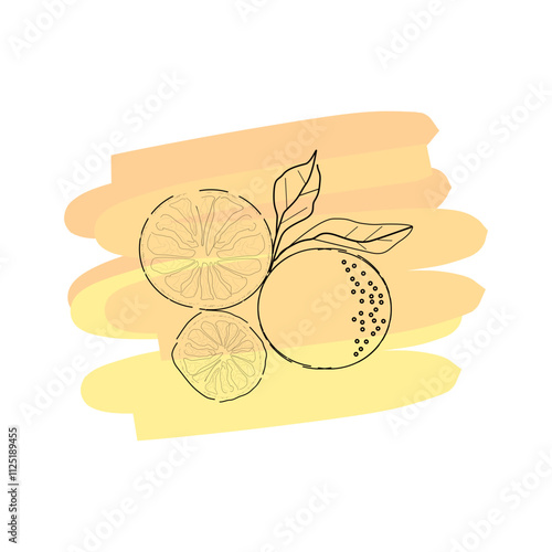 illustration of a citrus fruit minimal design