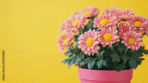 Wallpaper Mural Beautiful Pink Daisies in a Pot - Springtime Floral Arrangement Torontodigital.ca