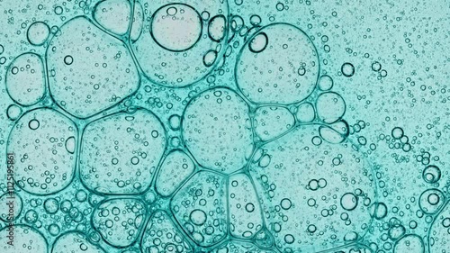 Various Bacteria, Tissue and Cells. Virus Testing Samples at Medical Lab Facility. Concept of Pharmaceutical Research for Antibiotics, Curing Disease. A Colony of Mold in a Petri Dish. High quality 4k