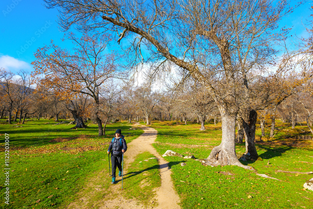 A woman hiker trekking through La Herrería forest. San Lorenzo de El Escorial. Madrid, Spain. A woman hiker trekking through La Herrería forest. San Lorenzo de El Escorial. Madrid, Spain.