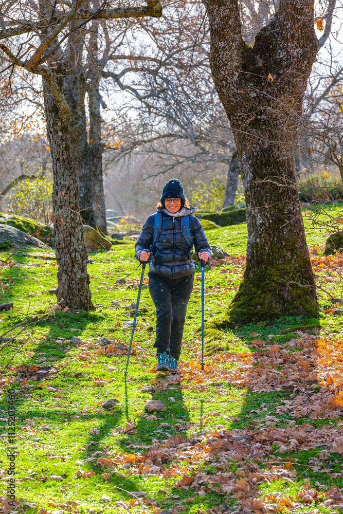 A woman hiker trekking through La Herrería forest. San Lorenzo de El Escorial. Spain. A woman hiker trekking through La Herrería forest. San Lorenzo de El Escorial. Spain.
