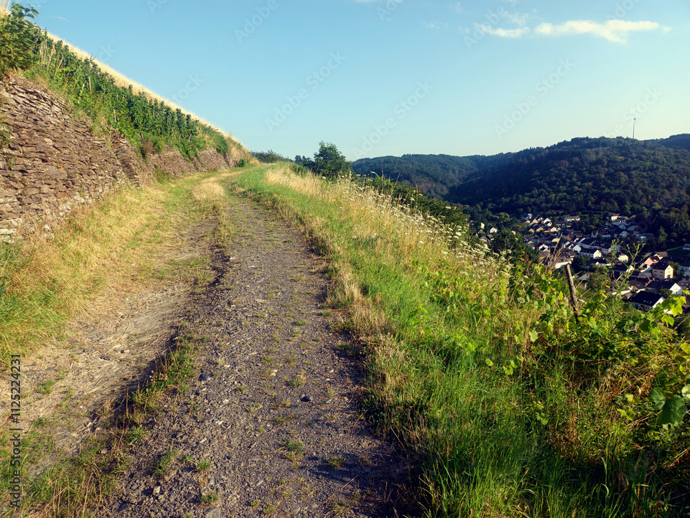 Feldweg durch Weinberge mit Stützmauer bei Fell auf dem Wanderweg Moselsteig-Seitensprung Feldweg durch Weinberge mit Stützmauer bei Fell auf dem Wanderweg Moselsteig-Seitensprung