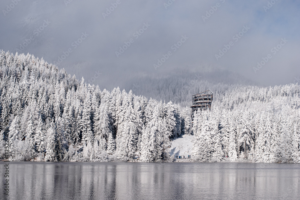 Obraz premium beautiful snowland scenery with hotel, lake and snowy trees in winter wonder fairytale