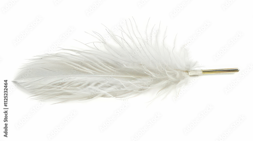 white feather isolated on white white feather isolated on white