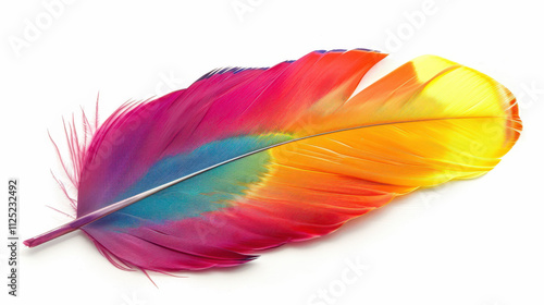 close up of colorful feathers