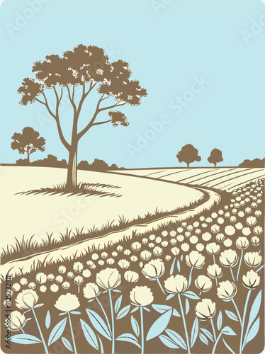 field with cotton flowers vector drawing