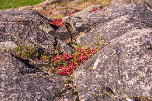 Festung Bohus, Bohuslän, Schweden photo