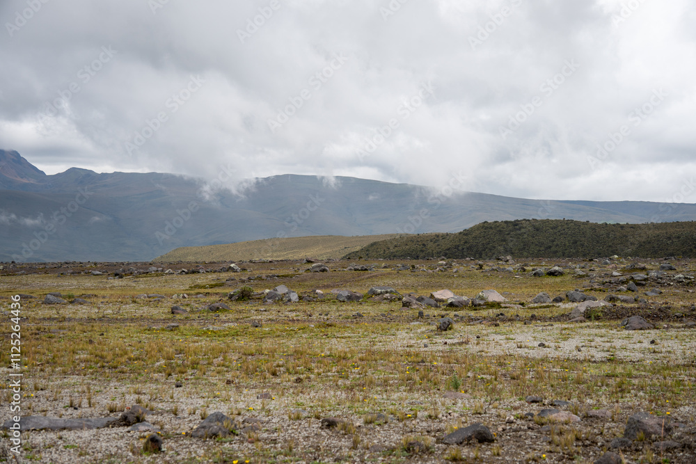 Rocks strewn in a field in Cotopaxi National Park, outside of Quito, Ecuador
