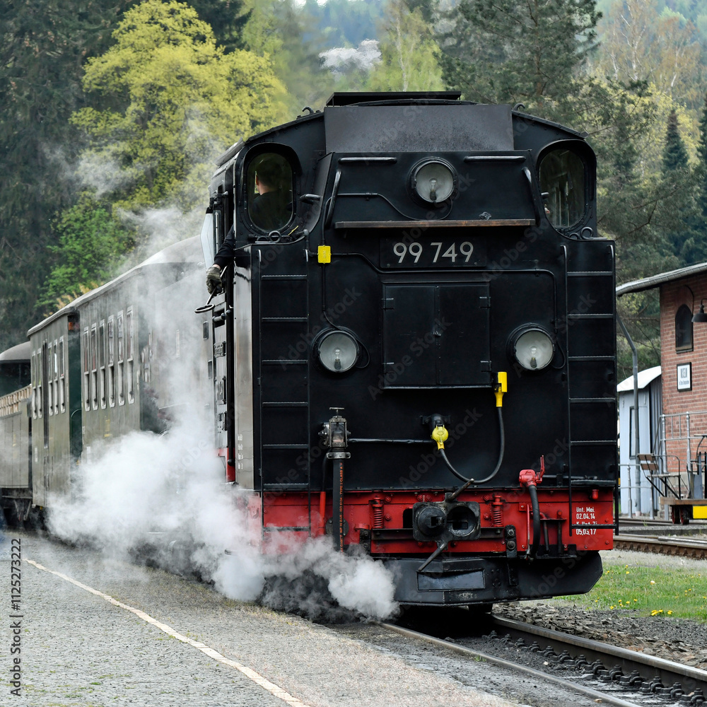 Obraz premium zittauer schmalspurbahn