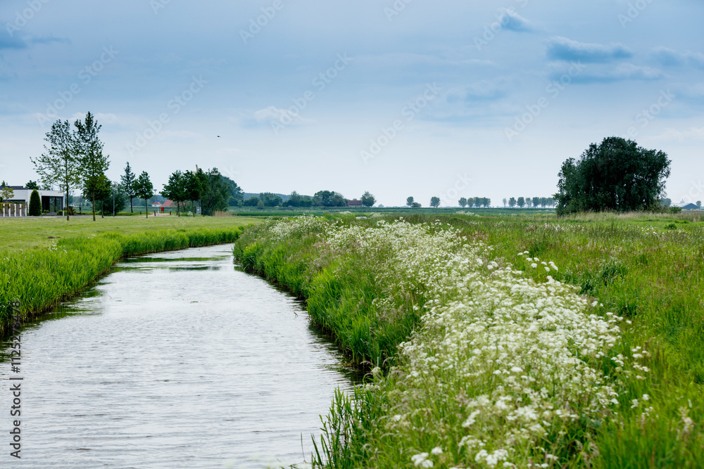 Tranquil Dutch countryside scene. Canal winds through lush green fields, dotted with wildflowers. Cloudy sky overhead. Tranquil Dutch countryside scene. Canal winds through lush green fields, dotted with wildflowers. Cloudy sky overhead.