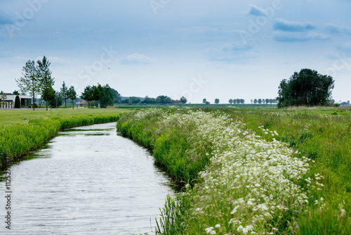 Tranquil Dutch countryside scene.  Canal winds through lush green fields, dotted with wildflowers.  Cloudy sky overhead.