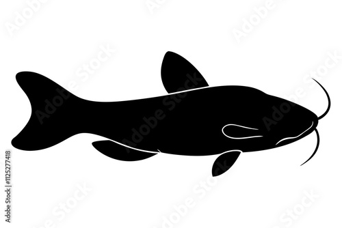 aquatic animal catfish silhouette photo