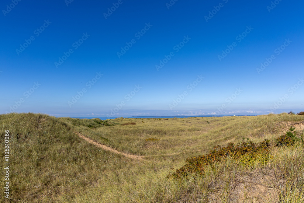 Fototapeta premium Beach view with grass and distant ocean at Mellbystrand, Sweden