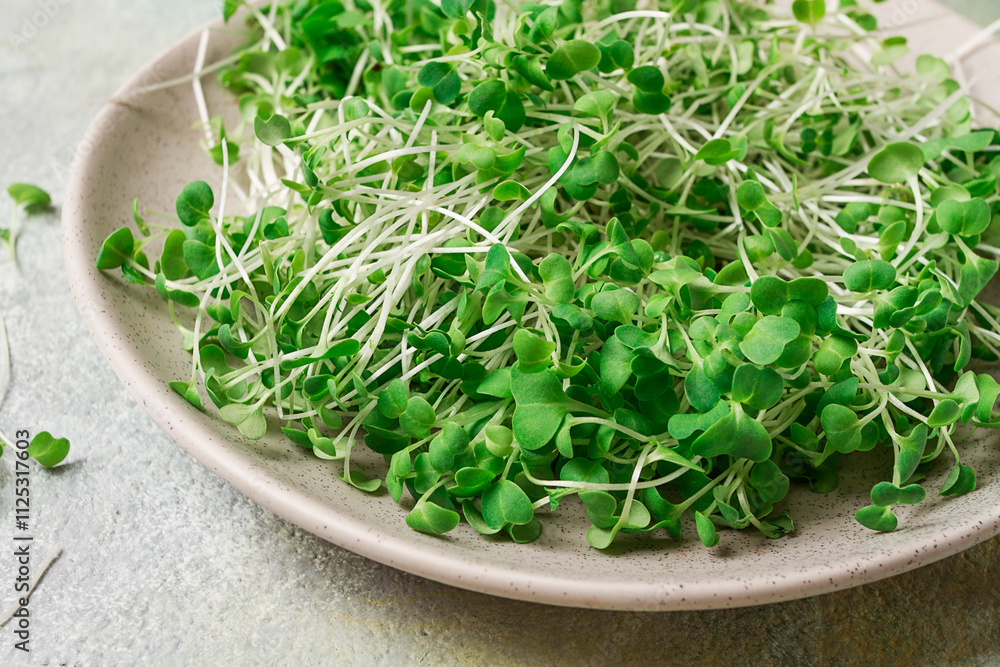 fresh micro-greenery, on a plate, top view, no people, fresh micro-greenery, on a plate, top view, no people,