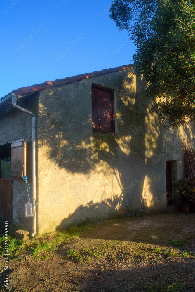 Obraz premium Sombra de árbol grande sobre fachada de casa rural