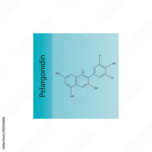 Pelargonidin skeletal structure diagram.anthocyanin compound molecule scientific illustration.