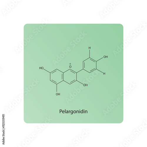 Pelargonidin skeletal structure diagram.anthocyanin compound molecule scientific illustration.