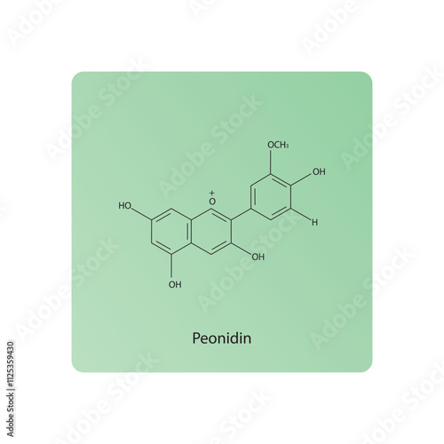 Peonidin skeletal structure diagram.anthocyanin compound molecule scientific illustration.