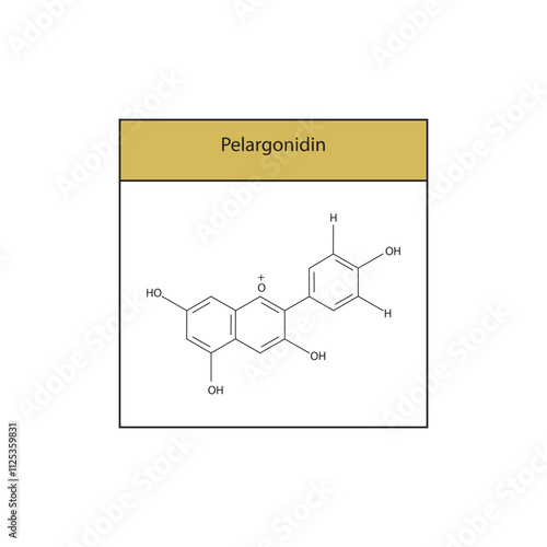 Pelargonidin skeletal structure diagram.anthocyanin compound molecule scientific illustration.