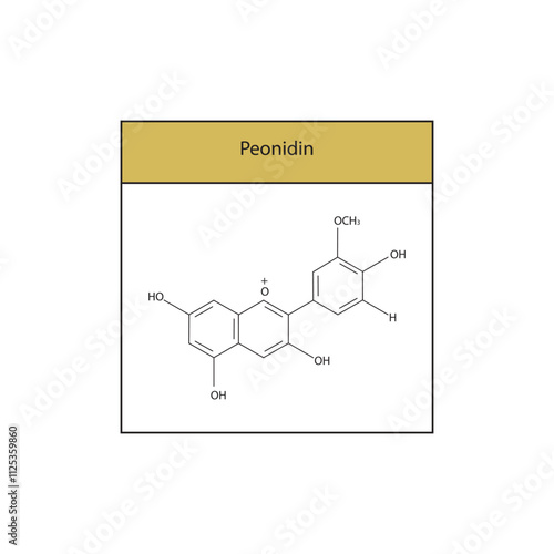 Peonidin skeletal structure diagram.anthocyanin compound molecule scientific illustration.