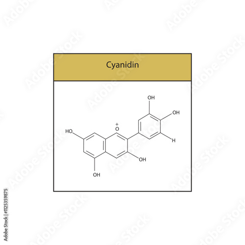 Cyanidin skeletal structure diagram.anthocyanin compound molecule scientific illustration.