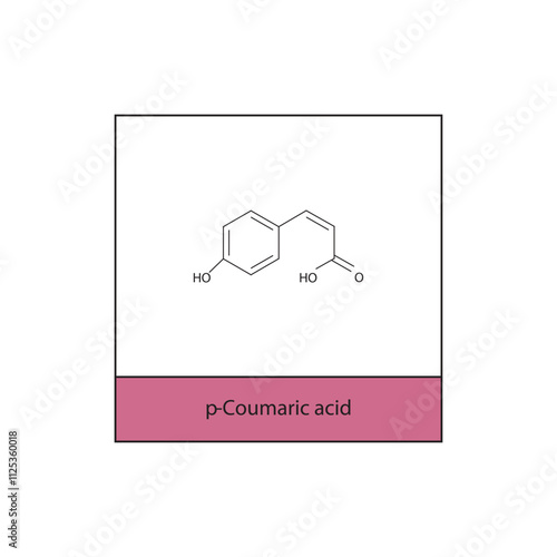 p-Coumaric acid skeletal structure diagram.hydroxycinnamic acid compound molecule scientific illustration.