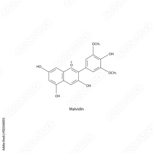 Malvidin skeletal structure diagram.anthocyanin compound molecule scientific illustration.