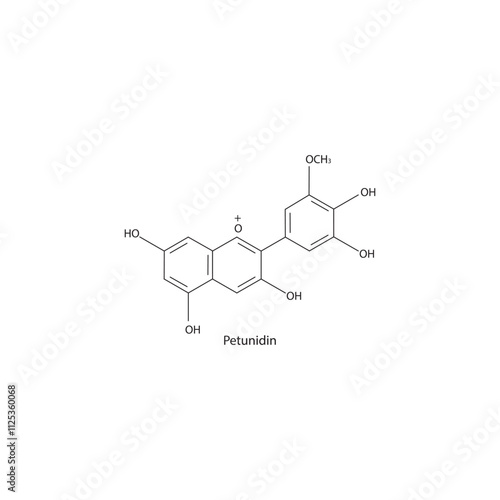 Petunidin skeletal structure diagram.anthocyanin compound molecule scientific illustration.