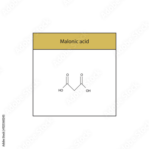 Malonic acid skeletal structure diagram.aliphatic acid compound molecule scientific illustration.