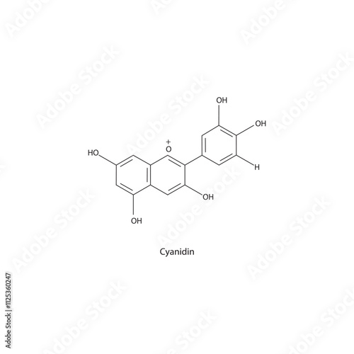 Cyanidin skeletal structure diagram.anthocyanin compound molecule scientific illustration.