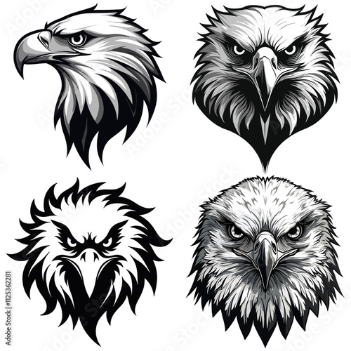 Eagle head logo icon vector illustration set photo