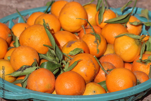 Oranges with Green Leaves