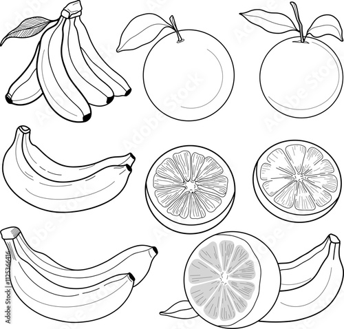 set of fruits. Illustration of bananas, oranges, and sliced grapefruit. For food packaging designs, or coloring pages.