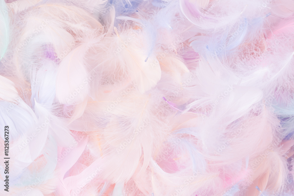 Colorful feather background, top view. Colorful feather background, top view.