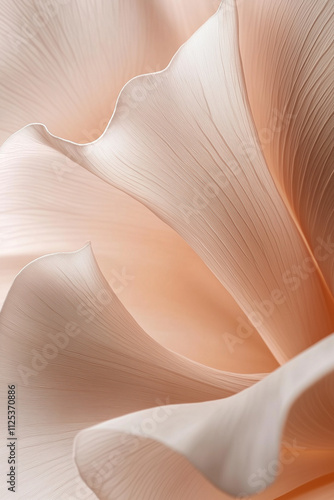 Macro Close-Up of Pale Pink and Coral Flower Petals with Organic Silk Texture on Beige Background