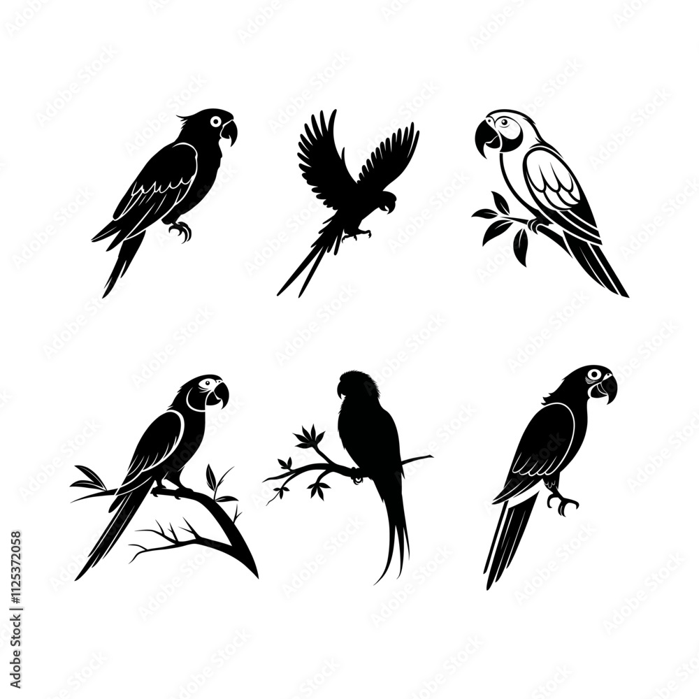 Obraz premium Set of Silhouette Parrot Icons Graphic Vector Bird Collection