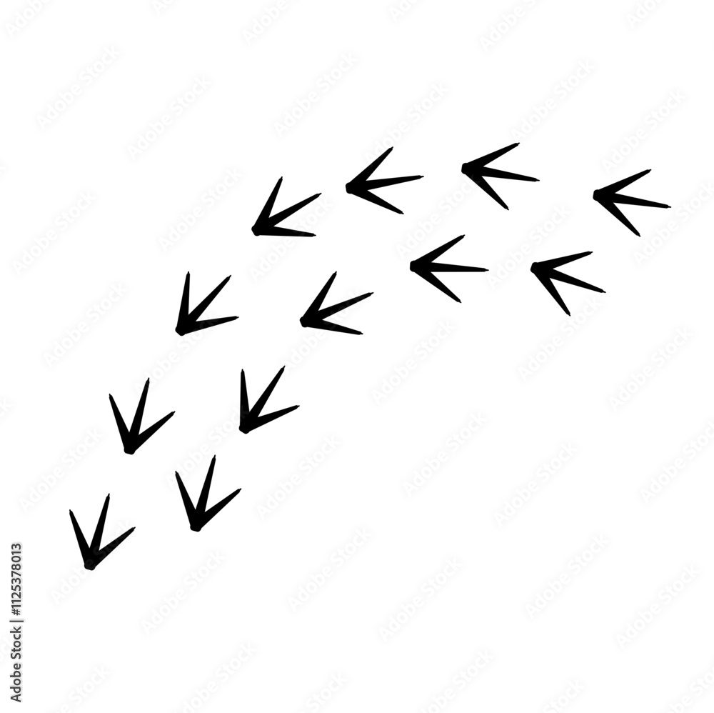 Chicken Footprints Chicken Footprints