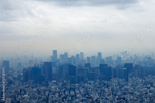Photography Skyscrapers of the metropolis on the horizon, twilight time